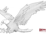 Finished drawing of an eagle. Image used in the “Eagle Drawing In 7 Steps For Beginners” blog post.