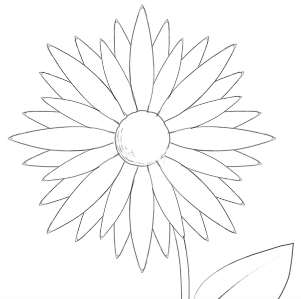 A leaf added to the daisy drawing.