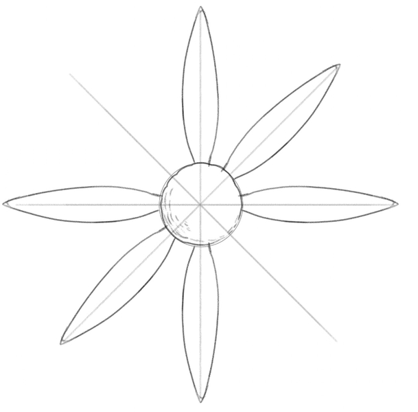 Six ray florets surrounding the central part of a daisy.
