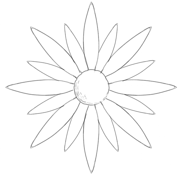 Smaller and larger petals added to the daisy sketch.