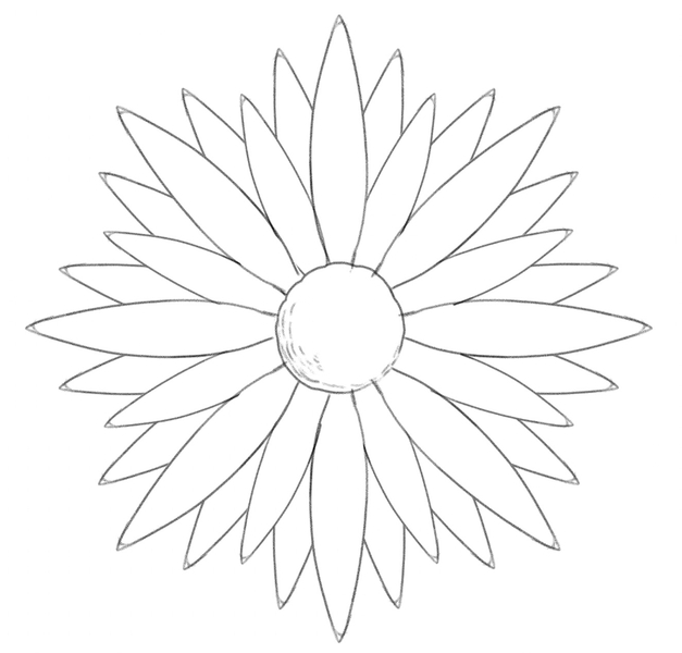 Petals surrounding the center of the daisy.