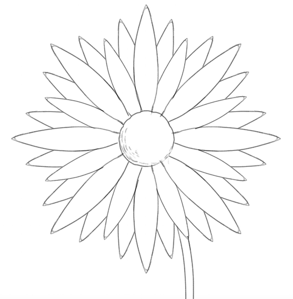 A stem added to the daisy drawing.