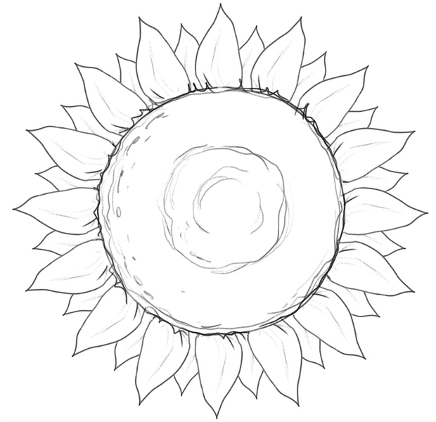 Details added to the center of the sunflower. 