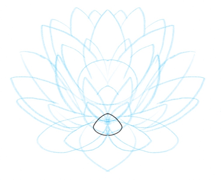 the base of the lotus flower enhanced