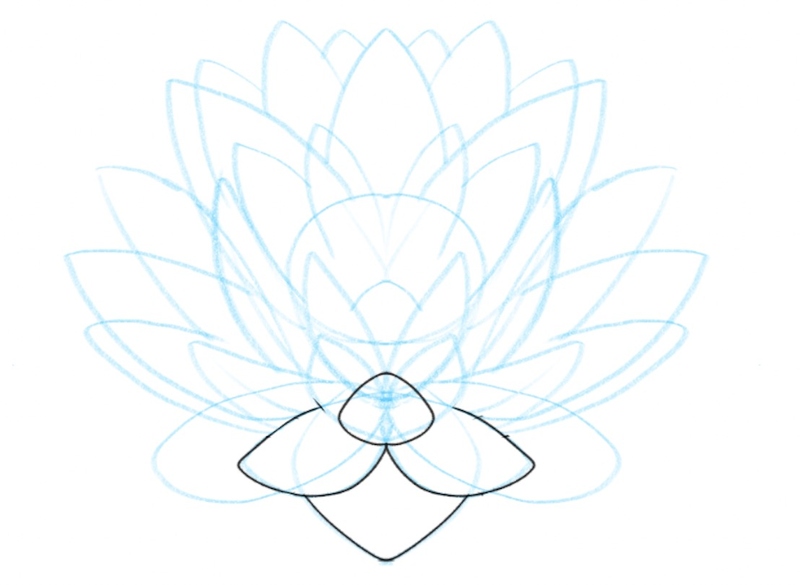 Petals below the base of the lotus flower are enhanced.