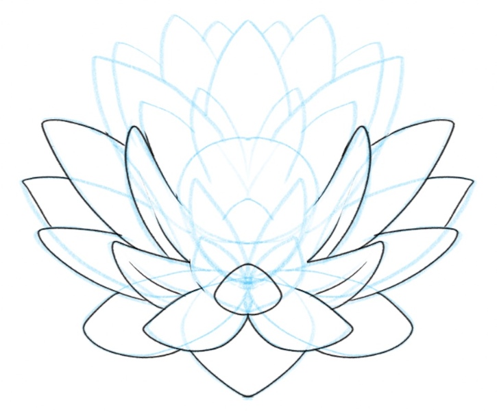 enhanced middle petals of the lotus flower