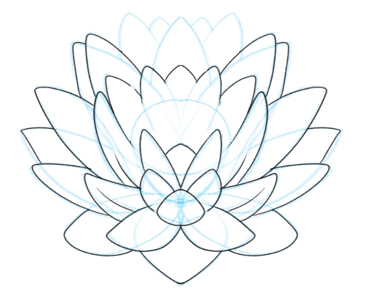 enhanced petals of the lotus flower