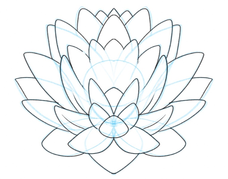 the lotus flower petals enhanced