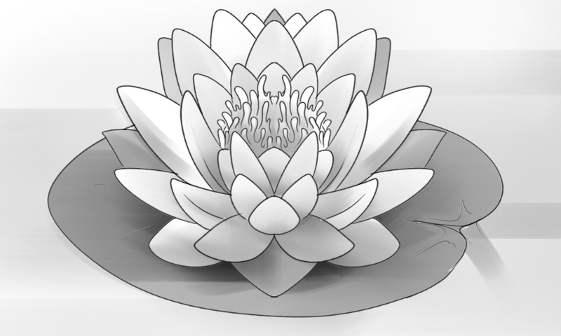 Finished lotus flower drawing