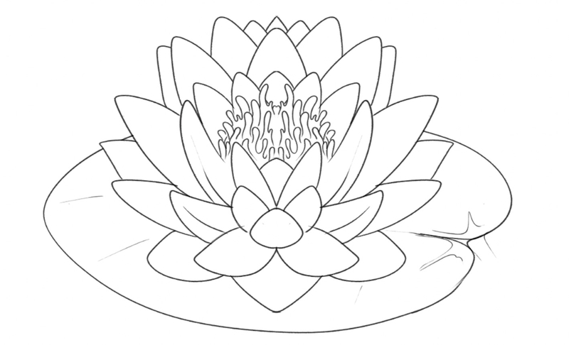 a leaf added under the lotus flower