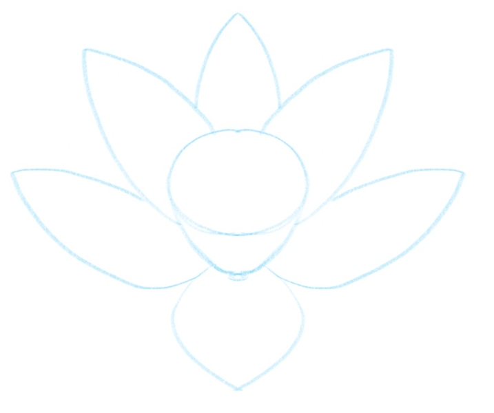 The base of the lotus flower with six petals