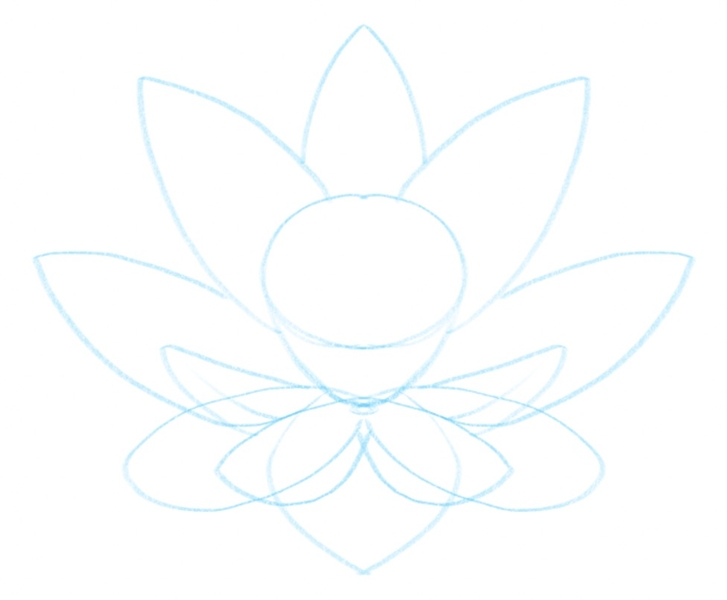 the lotus flower outline with petals