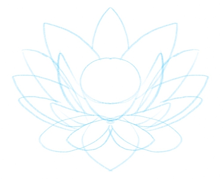 the lotus flower outline with the horn-line petals added to the sketch