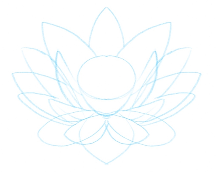 the lotus flower outline with the horn-line petals added to the sketch