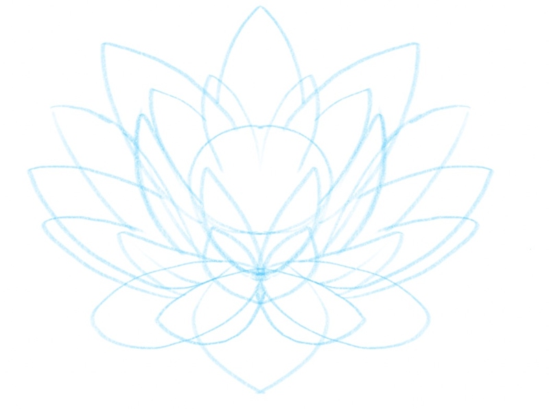 the lotus flower outline with the petals 