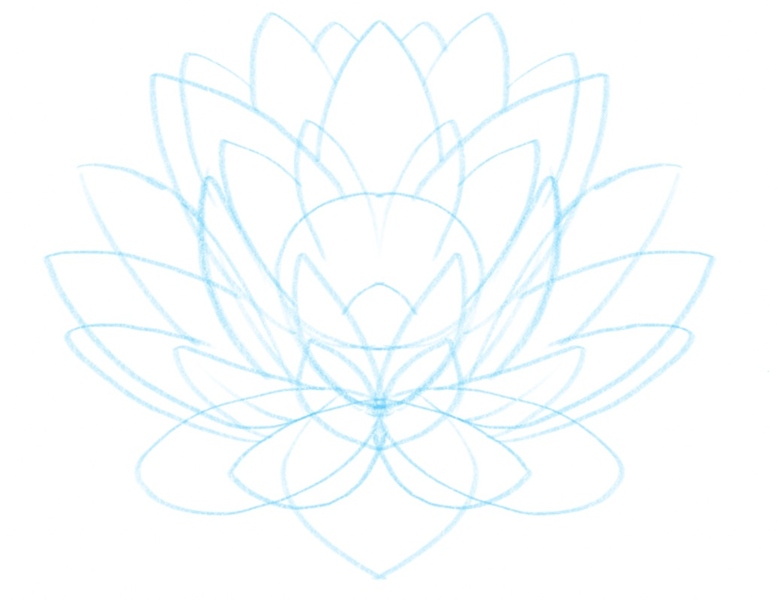 the lotus flower outline with the petals 