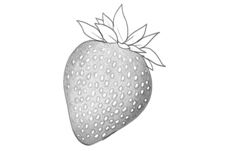 a strawberry shaded in light grey with the achenes