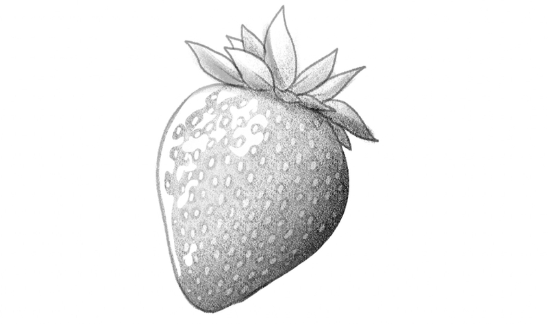 Shaded strawberry drawing